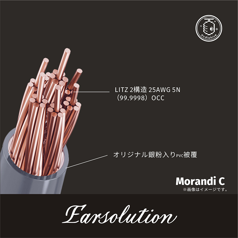 MORANDI C 内部構造画像