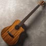 Victor Bailey Signature Acoustic 5 String Bass