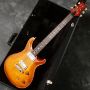 Paul Reed Smith(PRS)/McCarty 20th 2005